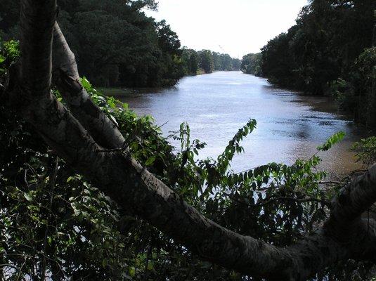 Bayou Teche