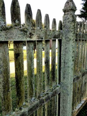 This was the original state of the fence...pretty nasty...definitely thought we'd have to scrap it.