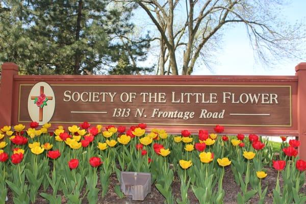 Society of the Little Flower