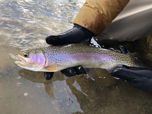 Using the gear I bought from them, and following the kind advice. I got on some fish immediately!