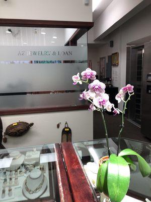 AZ Jewelry and Loan