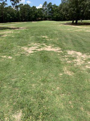 More dead fairway