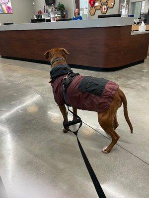 Rain jacket for wet weather. Came in for nail grind and refill on meds