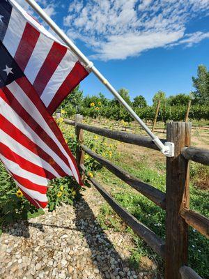 Independence at Buckhorn Vineyards