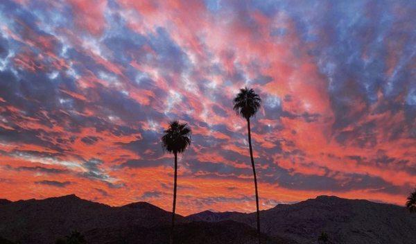 Desert Sunsets