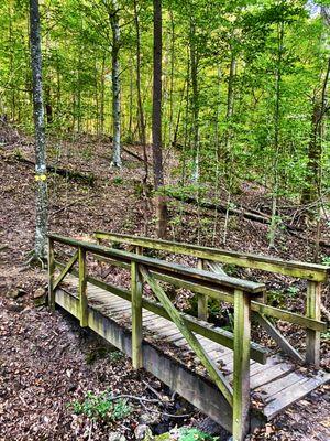 Footbridge on path to Quarry