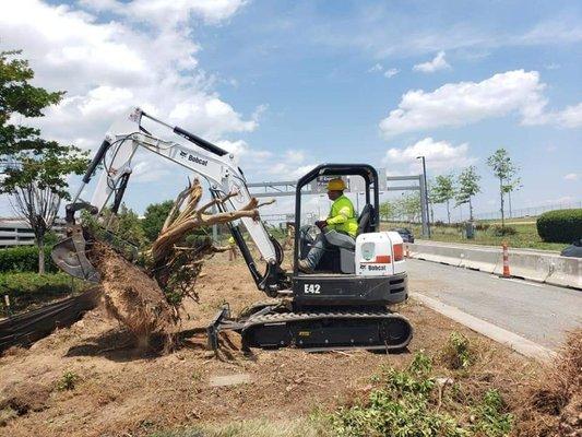 Commercial tree removal
RDU airport