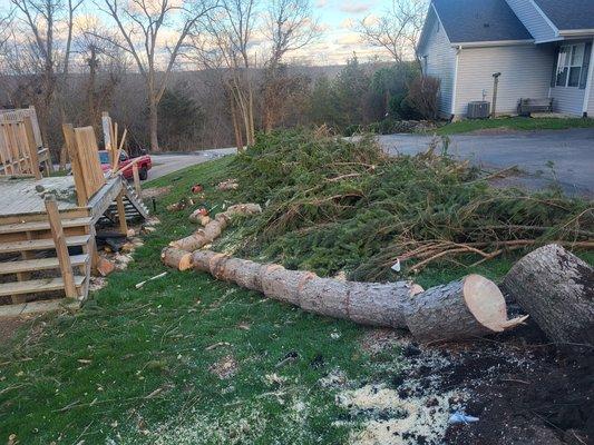 Removed uprooted tree off homeowners deck