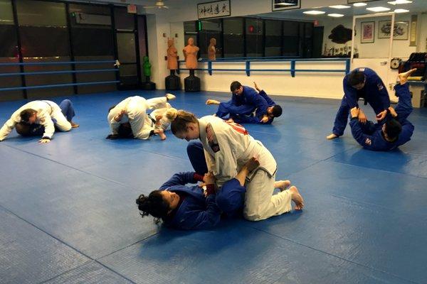 We offer classes in Brazilian Jiu-Jitsu with Professor Daniel Tcruz, a third-degree black belt under Gerson Sanginitto of Delta BJJ.