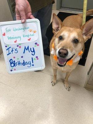 James had to stay for the day on his 10th Birthday and they were very kind to him. They are fantastic