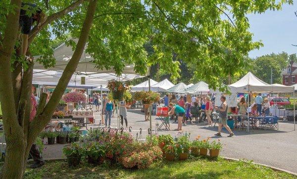 Saugerties Farmers Market showcases the best of Hudson Valley produce and is a favorite community gathering spot.