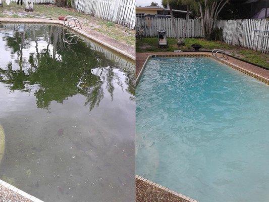 8 years of neglect is no problem to Swimming Pool Man