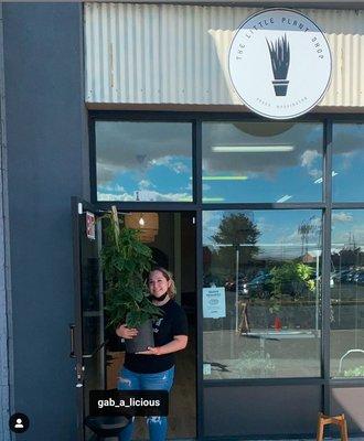 Gabby is all smiles holding our massive Monstera Adansonii totem that's almost as tall as her  #baps #bigassplants #weloveplants #shoploca