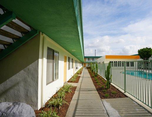 Paloma Pool and Courtyard