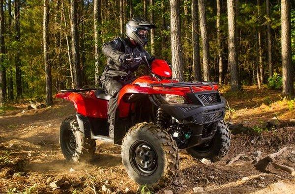 Suzuki ATVs & Motorcycles