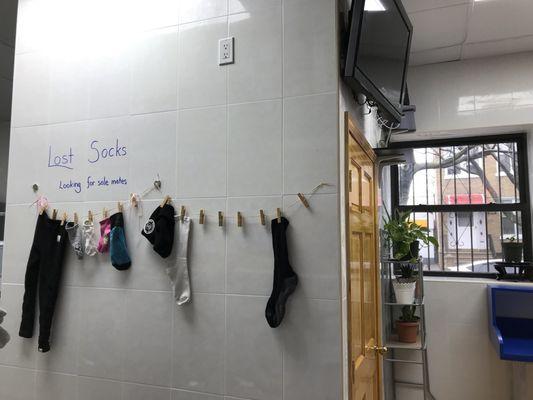 Lost Socks？