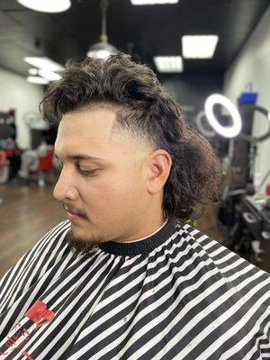 Mullet any style any fade