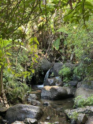 Makiki Valley Trail