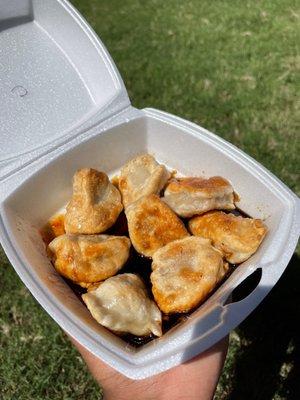 Chicken Dumplings