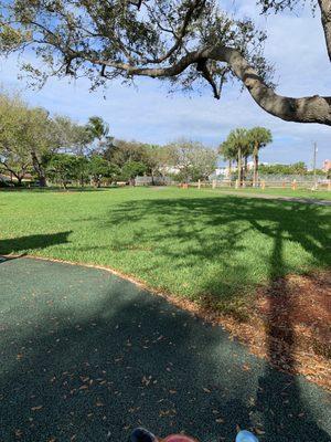 Open grass to picnic.