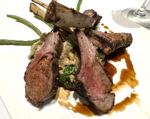 Rack of Lamb