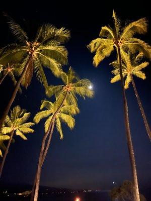 Mauna Kea Beach Hotel at night