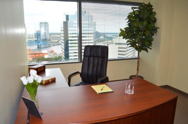 Standard Office at Executive Suite Professionals