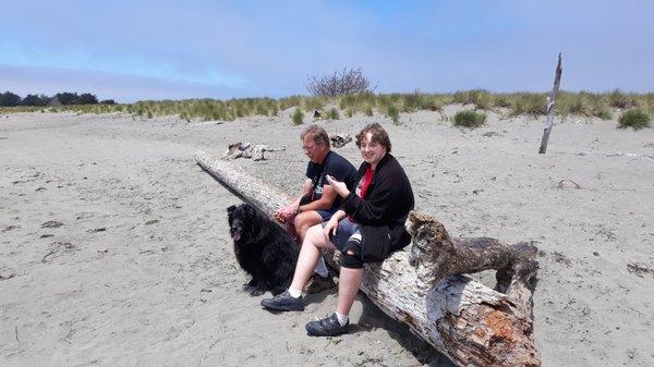 Dogs allowed on this beach, too.