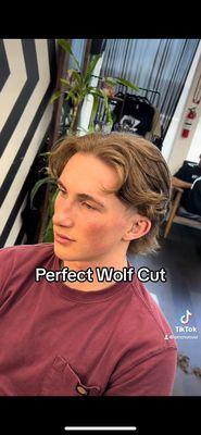 Mid length Wolf Cut. "Flowing"