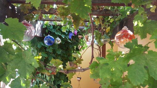 Anazing blown glass now hanging in my garden arbor.