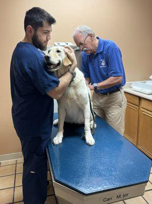 Mesa Grande Animal Clinic