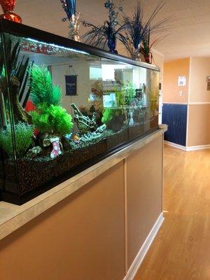 Fish tank