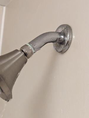 Leaky shower head