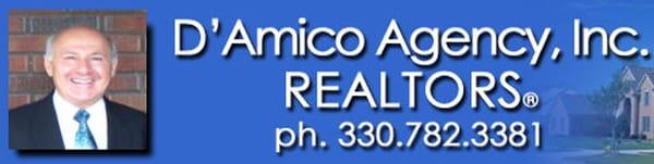 D'amico Agency Inc Realtors