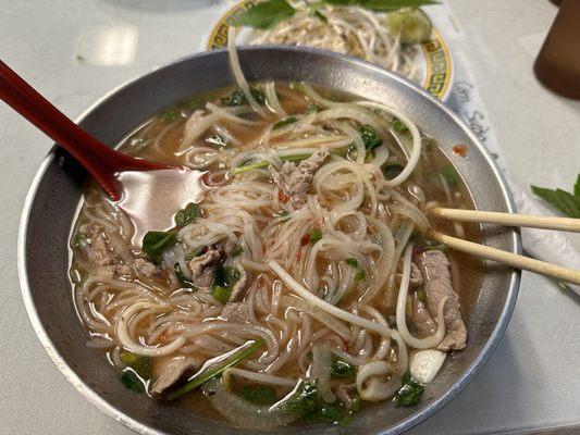 B1. Pho Tai : Beef Pho with onions, rice noodles, sliced beef, green onions, mint and cilantro