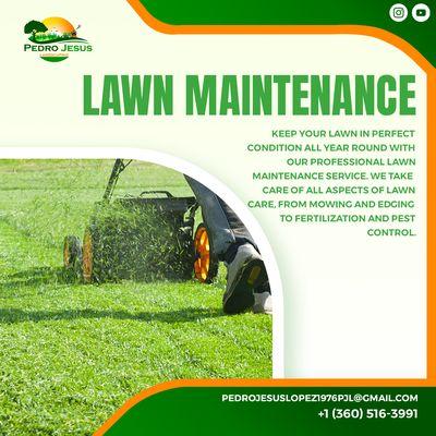 We offer a comprehensive lawn maintenance service designed to keep your garden looking lush and healthy.