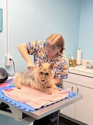 Dr Ferris is doing a chiropractic adjustment on one of her patients!