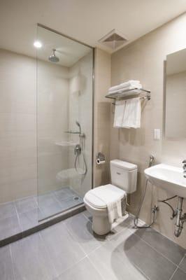 Designer Bathroom with Rain shower Features