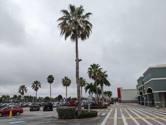 The Shops at Midpoint Center, Cape Coral