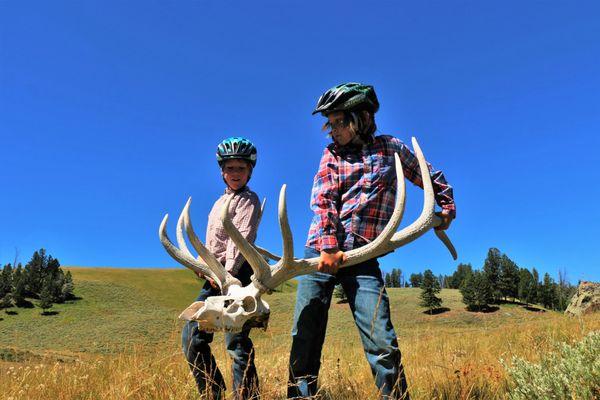 Family fun and family operated horseback riding tours in Yellowstone National Park.