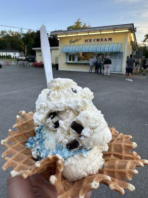 Yumminess! Under the Sea and Coconut Almond Bar in a delicious Waffle Bowl!