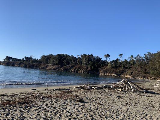 The beach where you start-the hike goes along that forested area