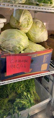 Cabbage