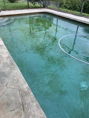 This is how our pool looked two days after Economy Pools billed us for a service visit.