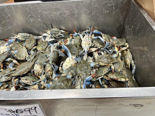 Fresh blue crab (live)