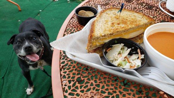 Dog friendly patio!