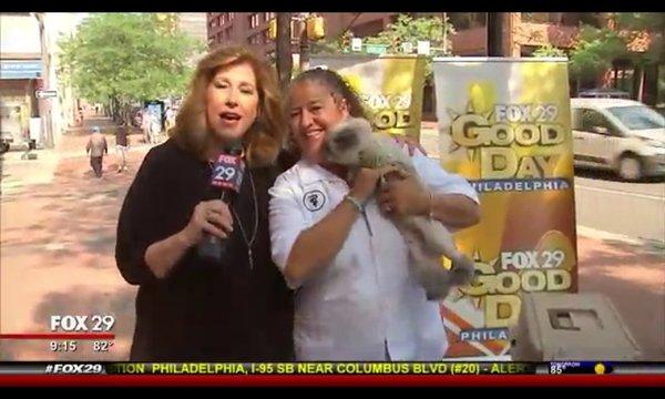 Dr. Maier and grumpy cat for a Fox 29 News Good Day Philadelphia segment.