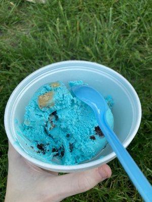 Cookie Monster ice cream from Fall ice cream in Olmsted Falls Ohio