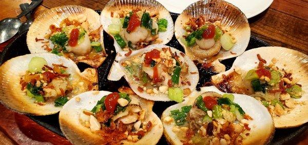 Grilled Scallops