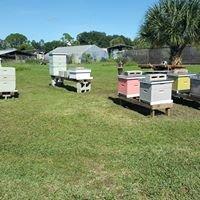 Our club Apiary at UF/IFAS aka The Ag Center at 3695 Lake Drive.